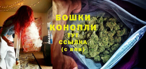 гидра Белоозёрский